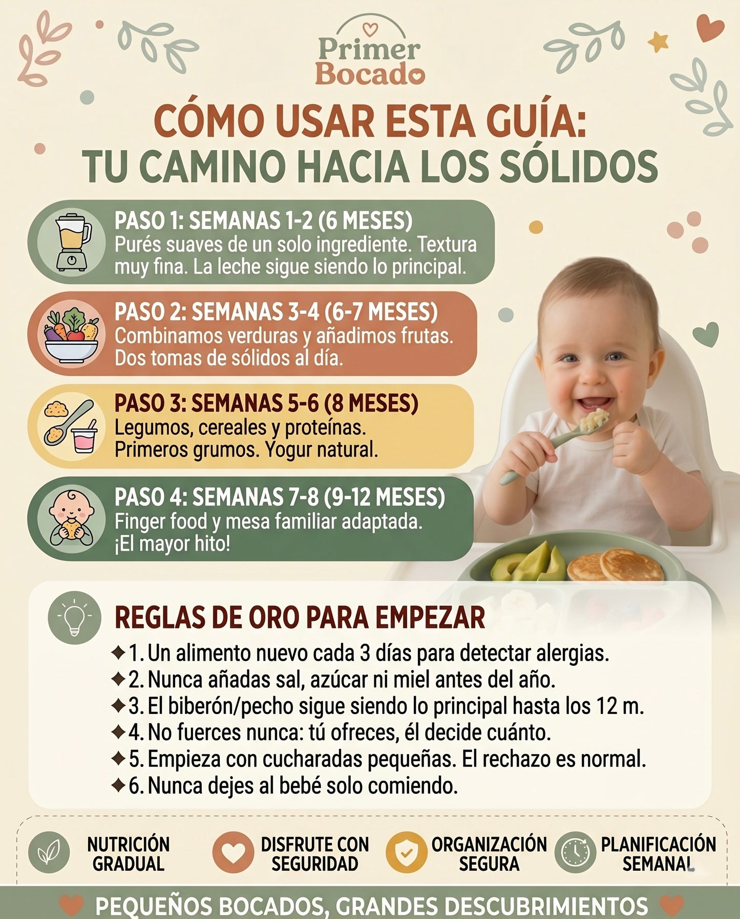 Primer Bocado: Tu Guía Sin Estrés