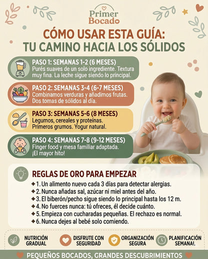 Primer Bocado: Tu Guía Sin Estrés